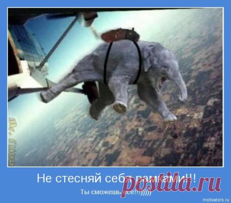 Тормоза для личностного роста | Как научиться жить без проблем?