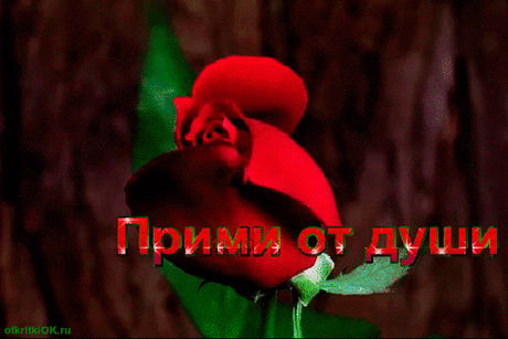 Открытка с розами