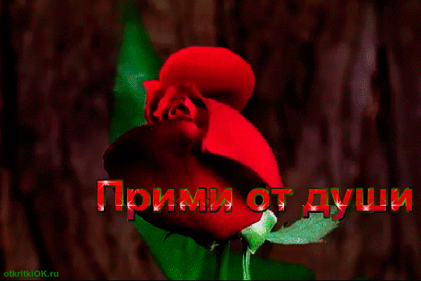 Открытка с розами