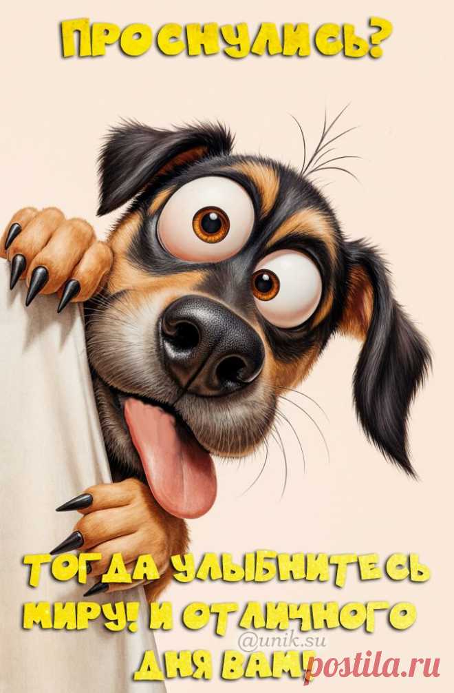 доброе утро картинки позитивные прикольные