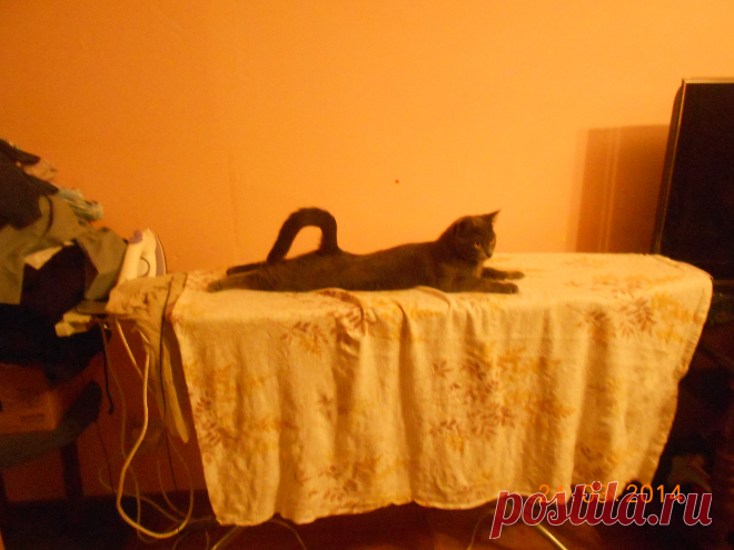 котюг