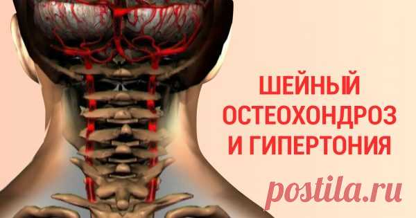 Гимнастика для шеи доктора Шишонина