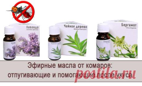 Натуральные эфирные масла от комаров и других насекомых
САМЫЕ ЭФФЕКТИВНЫЕ ЭФИРНЫЕ МАСЛА ОТ КОМАРОВ И ДРУГИХ НАСЕКОМЫХ — СПОСОБЫ ИХ ПРИМЕНЕНИЯ
Интересная статья о том, как применять эфирные масла от комаров и других насекомых, эфирные масла репелленты, по…