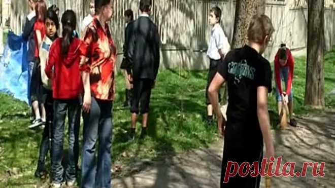 (2) Одноклассники