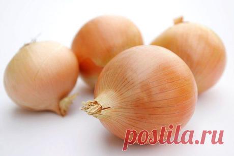 Философия красоты и здоровья
