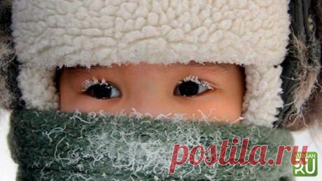 При какой погоде курганские школьники смогут остаться дома