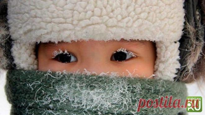 При какой погоде курганские школьники смогут остаться дома