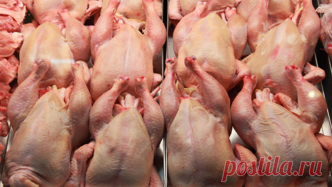 Экономист назвал две главные причины исчезновения куриного мяса из магазинов. Дефицит куриного мяса в магазинах, на который пожаловались жители некоторых российских городов, вскоре сойдет на нет, уверен доктор экономических наук, профессор, бывший замминистра сельского хозяйства и продовольствия Леонид Холод. ...