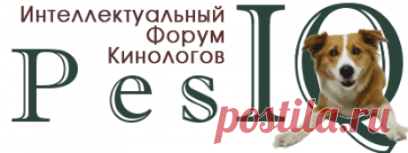 "Народные" методы поддержать собаку при онко... - Страница 4 - PesIQ