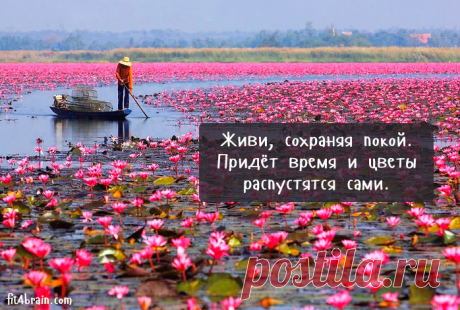 Народ с тысячелетним опытом не может давать плохих советов.
