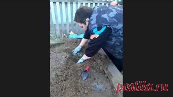 Умный дачник . Летние хлопоты 2