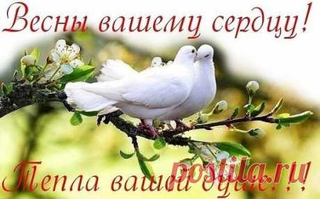 Интересные новости