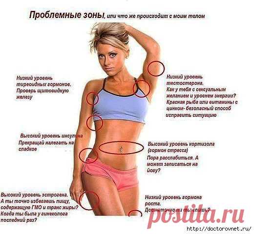 Проекционные зоны внутренних органов на теле.