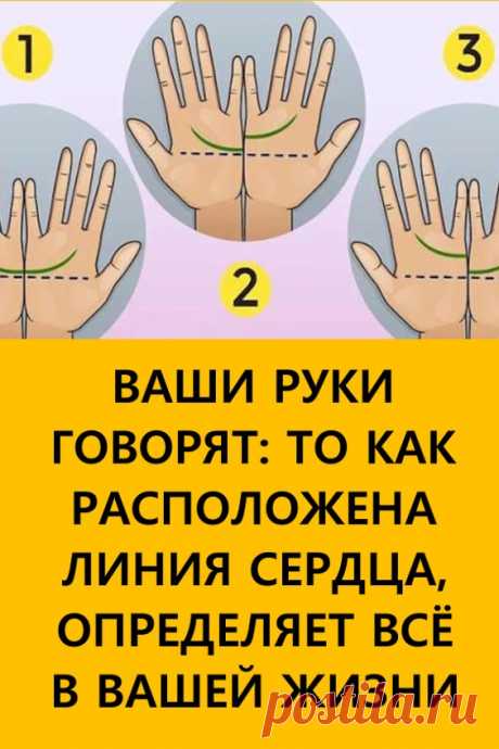 Ваши руки говорят: то, как расположена линия сердца, определяет всё в вашей жизни. Каждый человек обладает своим неповторимым узором на ладонях. Множество линий красиво пересекаются, создавая интересные орнаменты. Однако эстетика линий на руках играет второстепенную роль. Ведь по ладоням можно узнать о себе очень много любопытного! #хиромантия #интересно #интересныефакты