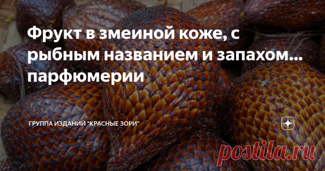 Фрукт в змеиной коже, с рыбным названием и запахом… парфюмерии Эти плоды напоминают кладку яиц дракона: продолговатые и чешуйчатые. Если взять такой в руку, он окажется шероховатым и колючим, словно бы его покрывает не то рыбья, не то змеиная чешуя. Да и название у плода тоже «рыбное» – салак, а в народе «змеиный фрукт». И растет этот фрукт на пальме. Но, опять же, весьма необычной пальме и весьма необычным образом – не на макушке, поближе к солнцу, а у подножия – огромным...