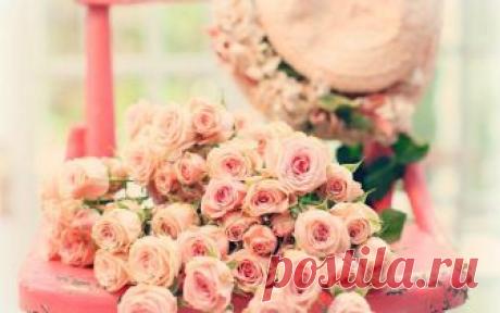 Скачать обои цветы, flowers, pink, rose, roses, розы, раздел цветы в разрешении 1600x1000