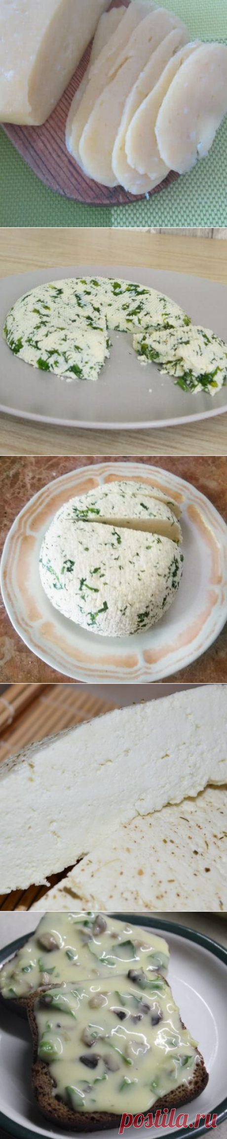 Домашний сыр - как и что приготовить из сыра?