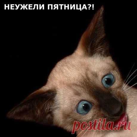 Пятница. Обсуждения - Блог. Run - Группы Мой Мир