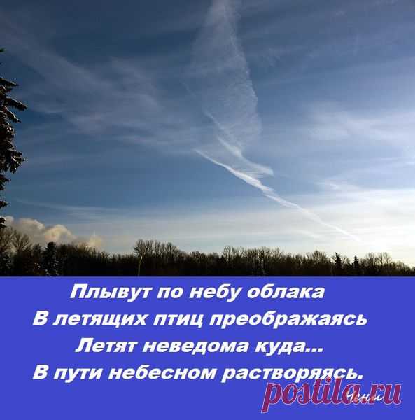 ЭМОЦИИ ВСЛУХ - Лирическое | ИНТЕЛЛЕКТУАЛЬНЫЙ КЛУБ "СЮРТУК" | Группы Мой Мир