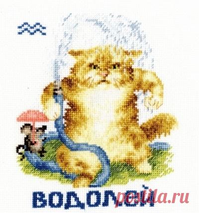 Знаки зодиака. Водолей - кот.