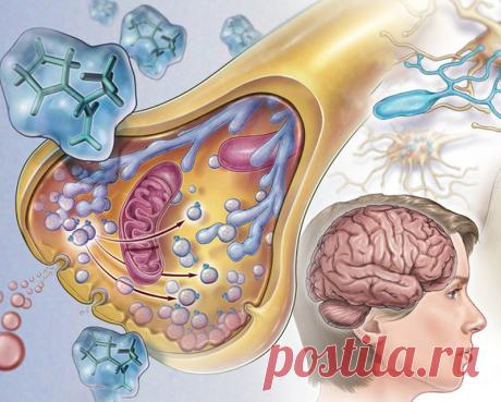 Список самых опасных и незаметных болезней Врачи выделяют несколько распространенных заболеваний, которые развиваются практически незаметно, поздно дают о себе знать симптомами. Они становятся причиной тяжелых осложнений и ранней смертности.