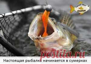 Настоящая рыбалка начинается в сумерках