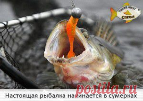 Настоящая рыбалка начинается в сумерках