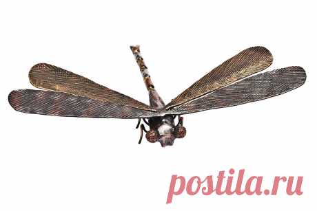 Стрекоза-сувенир. Ручная ковка. 
Дополнительные вопросы по телефону 
89037487000