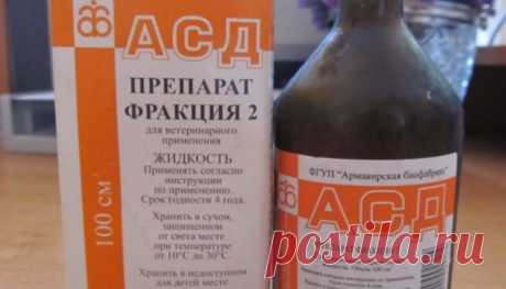 Часто врачами назначается АСД фракция 2 при псориазе. Она надежно защищает организм и отлично стимулирует иммунитет. Однако, препарат не является официально разрешенным к использованию медикаментом.
