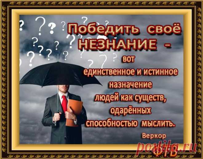Несовершенство суждений — наибольший недостаток при умственном труде в любой области.   Майкл Фарадей