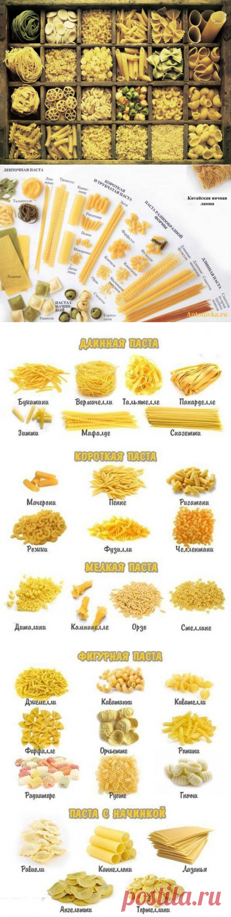 Виды итальянских макарон (пасты) и их назначение