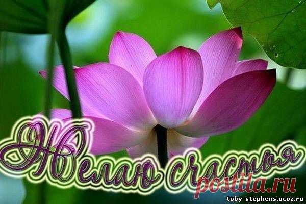 Мой Мир@Mail.Ru