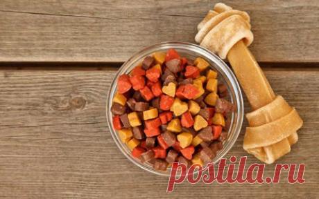 Насколько вкусен собачий корм? | Еда и кулинария