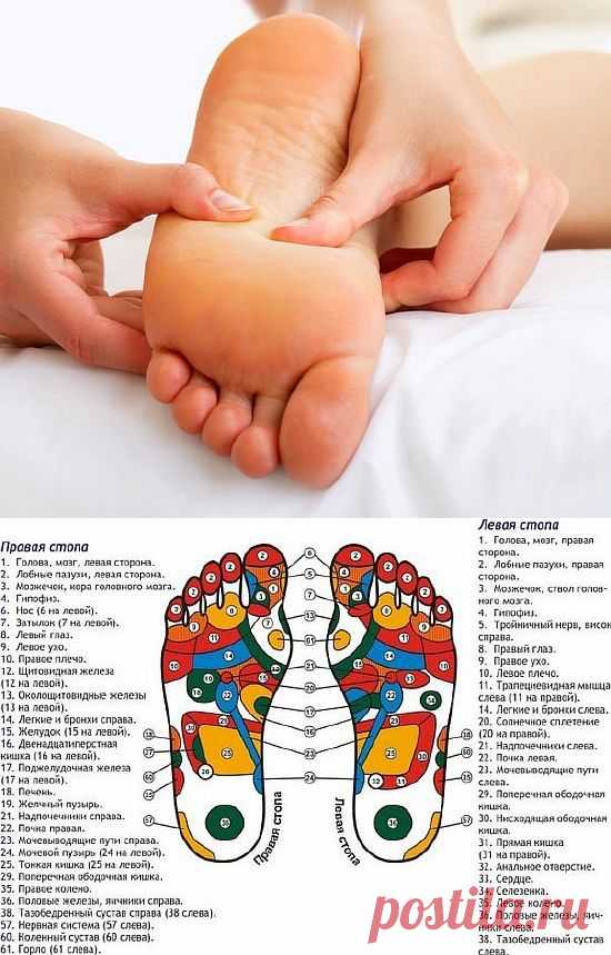 Массаж стоп, как делать массаж стоп, проекция органов на стопе