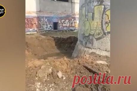 Названа предположительная причина взрыва на территории котельной Петербурга. На территории заброшенной котельной в Павловске Пушкинского района Санкт-Петербурга мог сдетонировать артиллерийский снаряд 122–152 миллиметра. По факту возбуждено уголовное дело по статье 222.1 («Незаконные приобретение, сбыт или ношение взрывных устройств») УК РФ. Пострадавших среди людей и животных нет.