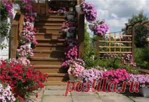 (92) Одноклассники