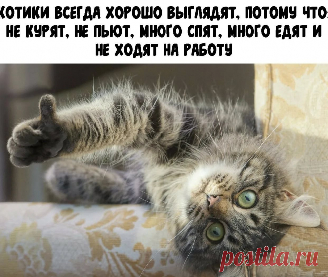 ребенок оплакивает питомца: 1 тыс изображений найдено в Яндекс.Картинках