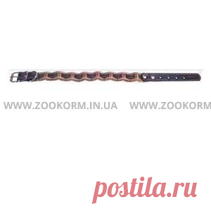 Ошейник для собак Collar (Коллар) Наборной