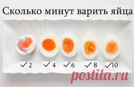 Gif рецепты от Гифки