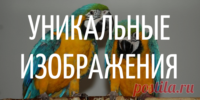 Уникальные изображения - Самое прекрасное на земле - это жизнь!