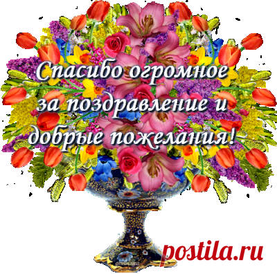 Профиль пользователя Валентина (Валентина)