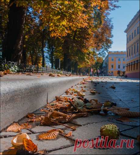 Фотографія В начале осени.. / Дмитрий Домбровский / photographers.ua