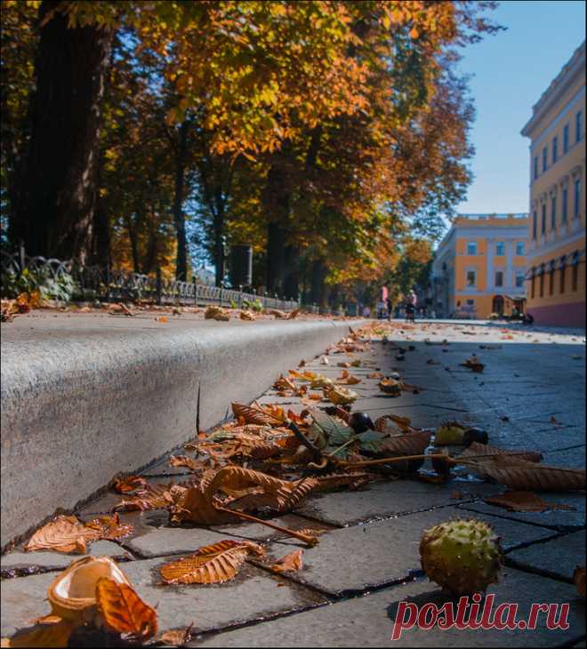 Фотографія В начале осени.. / Дмитрий Домбровский / photographers.ua