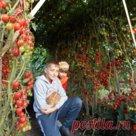 Супруги удочерили малышку из сибирского детского приюта. Вскоре они поняли, что с ней не так… - МирТесен