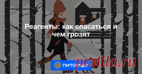 Реагенты: как спасаться и чем грозят За зиму в большом городе легко сменить несколько пар ботинок, развалившихся от рассыпанной на улицах химии. Понятно, что собака будет испытывать проблемы от передвижения по реагентам голыми лапами: природа не...