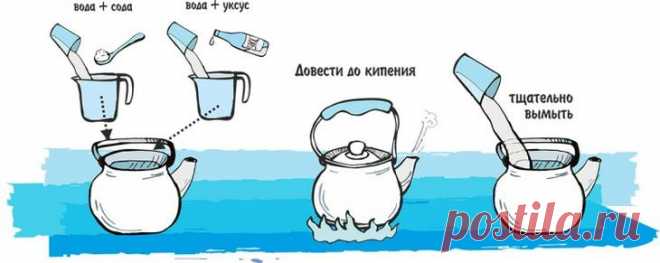 Чистим чайник от накипи: самые действенные способы