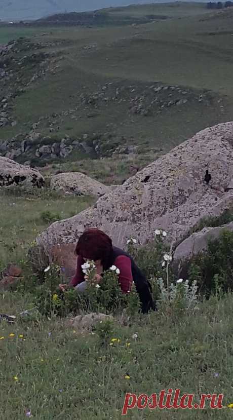 Ծաղկունք🌼
Յուրահատուկ հմայք,հոտ ու տեսք ունեն նաև հայրենի իմ բնաշխարհի ալպիական ծաղիկները....այս անմահական գեղեցկությունը տեսնելու համար ասում են մի փոքր էլ քո մեջ պետք է կրես այդ գեղեցիկից:
Գեղեցիկը դա ձևի և բովանդակության ներդաշնակությունն է:Գեղեցիկը պետք է տեսնել ամենուր, ամեն ինչում...ու մեր կյանքում: Գեղեցիկ ապրելը մեծագույն հաճույք է

Լուսավորիչ Դիդրոն գեղեցիկի մասին ասել է.«Մարդու կամքից անկախ ամեն ինչ գեղեցիկ է»: