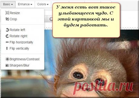УЧИМСЯ КРАСИВОМУ ОФОРМЛЕНИЮ ИЗОБРАЖЕНИЙ БЕЗ ФШ. &quot;FREE ONLINE PHOTO EDITOR&quot;