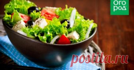 10 вкуснейших быстрых салатов для любого повода Вкусные, легкие в приготовлении и, самое главное, быстрые блюда в почете у всех хозяек. Кто-то просто не любит долго возиться с готовкой, кому-то не хватает времени, сил или умения часами колдовать над рецептами сложных салатов. Именно для таких ленивых кулинаров наш сегодняшний материал.