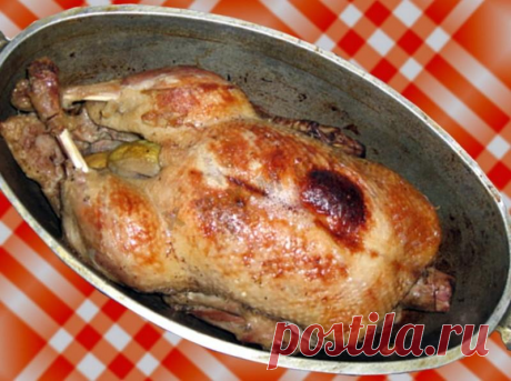 Каждый день новые рецепты